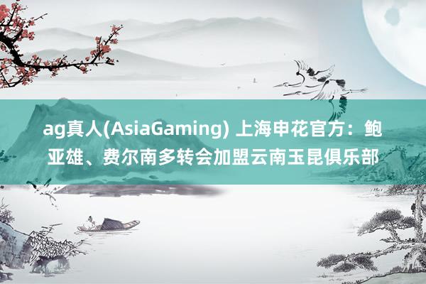 ag真人(AsiaGaming) 上海申花官方：鲍亚雄、费尔南多转会加盟云南玉昆俱乐部