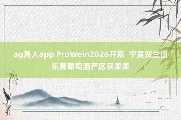 ag真人app ProWein2026开幕  宁夏贺兰山东麓葡萄酒产区获柔柔