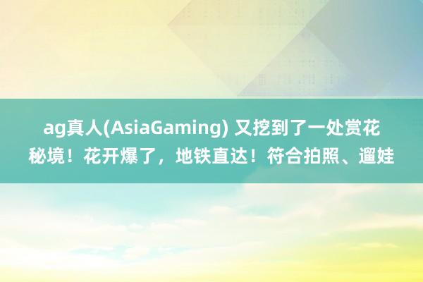 ag真人(AsiaGaming) 又挖到了一处赏花秘境！花开爆了，地铁直达！符合拍照、遛娃