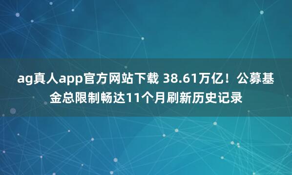 ag真人app官方网站下载 38.61万亿！公募基金总限制畅达11个月刷新历史记录