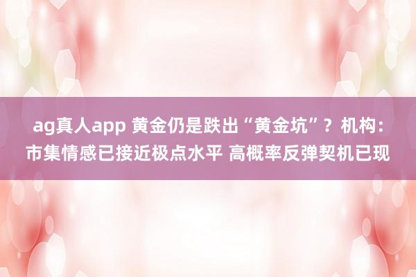 ag真人app 黄金仍是跌出“黄金坑”？机构：市集情感已接近极点水平 高概率反弹契机已现