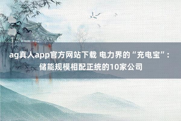 ag真人app官方网站下载 电力界的“充电宝”: 储能规模相配正统的10家公司