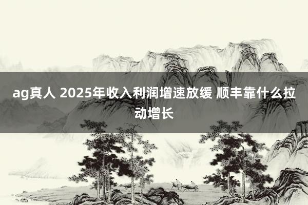 ag真人 2025年收入利润增速放缓 顺丰靠什么拉动增长