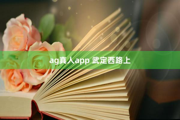 ag真人app 武定西路上