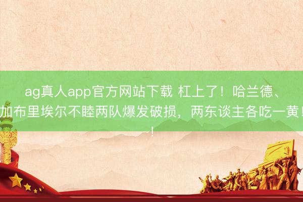 ag真人app官方网站下载 杠上了！哈兰德、加布里埃尔不睦两队爆发破损，两东谈主各吃一黄！