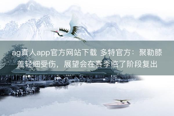 ag真人app官方网站下载 多特官方：聚勒膝盖轻细受伤，展望会在赛季临了阶段复出