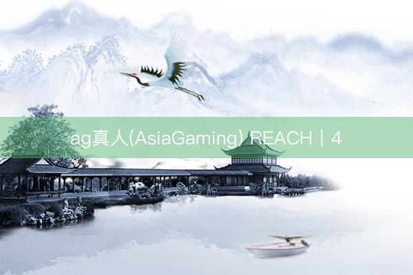 ag真人(AsiaGaming) REACH丨4