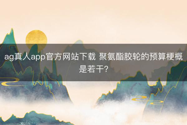 ag真人app官方网站下载 聚氨酯胶轮的预算梗概是若干？
