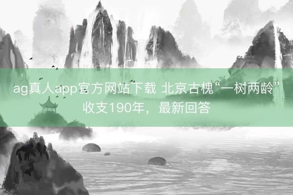 ag真人app官方网站下载 北京古槐“一树两龄”收支190年，最新回答