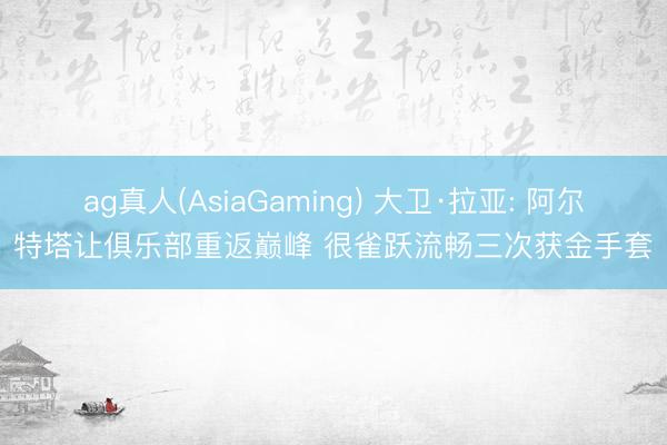 ag真人(AsiaGaming) 大卫·拉亚: 阿尔特塔让俱乐部重返巅峰 很雀跃流畅三次获金手套