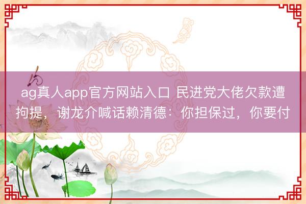 ag真人app官方网站入口 民进党大佬欠款遭拘提，谢龙介喊话赖清德：你担保过，你要付